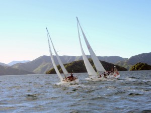 impressionen-aus-neuseeland-012-segelregatta-marlbouroghsound